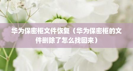 华为保密柜文件恢复（华为保密柜的文件删除了怎么找回来）