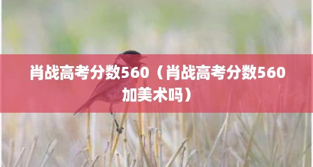 肖战高考分数560（肖战高考分数560加美术吗）