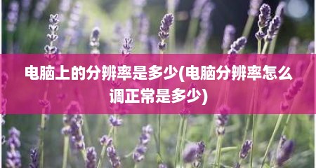 电脑上的分辨率是多少(电脑分辨率怎么调正常是多少)