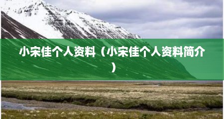 小宋佳个人资料（小宋佳个人资料简介）