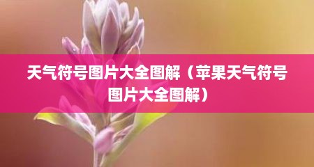 天气符号图片大全图解（苹果天气符号图片大全图解）