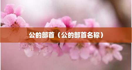 公的部首（公的部首名称）