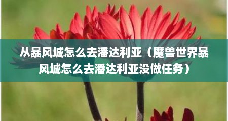 从暴风城怎么去潘达利亚（魔兽世界暴风城怎么去潘达利亚没做任务）