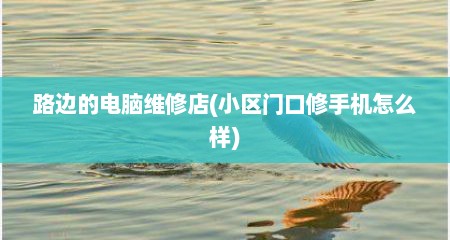 路边的电脑维修店(小区门口修手机怎么样)