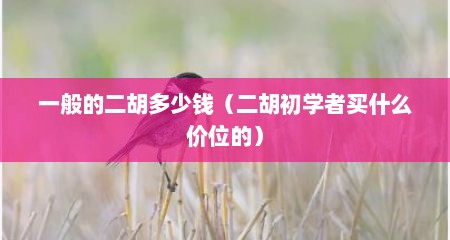 一般的二胡多少钱（二胡初学者买什么价位的）