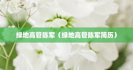绿地高管陈军（绿地高管陈军简历）