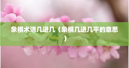 象棋术语几进几（象棋几进几平的意思）