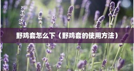 野鸡套怎么下（野鸡套的使用方法）