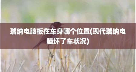 瑞纳电脑板在车身哪个位置(现代瑞纳电脑坏了车状况)