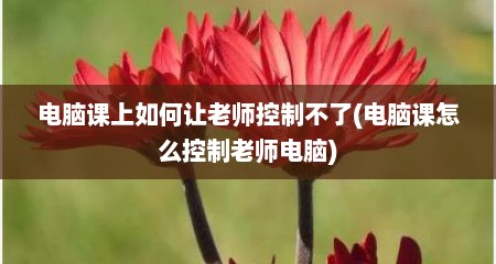 电脑课上如何让老师控制不了(电脑课怎么控制老师电脑)