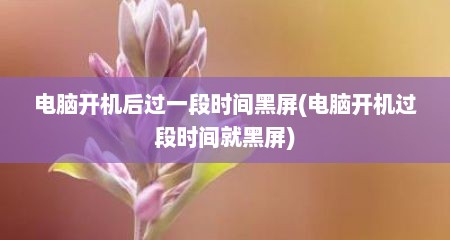 电脑开机后过一段时间黑屏(电脑开机过段时间就黑屏)