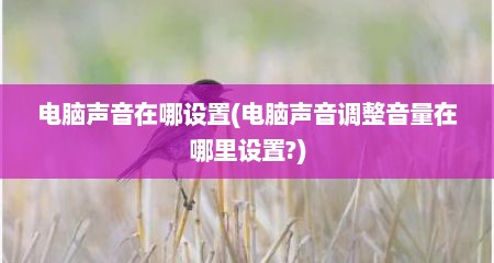 电脑声音在哪设置(电脑声音调整音量在哪里设置?)