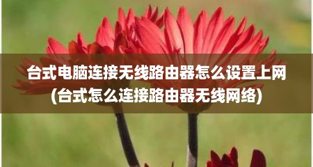 台式电脑连接无线路由器怎么设置上网(台式怎么连接路由器无线网络)