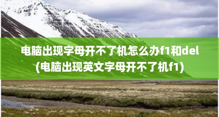 电脑出现字母开不了机怎么办f1和del(电脑出现英文字母开不了机f1)
