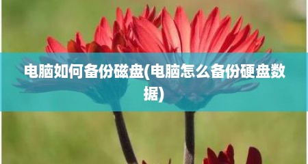 电脑如何备份磁盘(电脑怎么备份硬盘数据)
