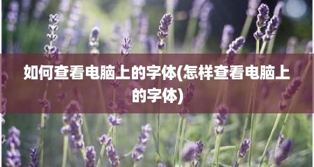 如何查看电脑上的字体(怎样查看电脑上的字体)