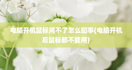 电脑开机鼠标用不了怎么回事(电脑开机后鼠标都不能用)