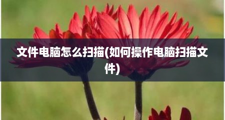 文件电脑怎么扫描(如何操作电脑扫描文件)