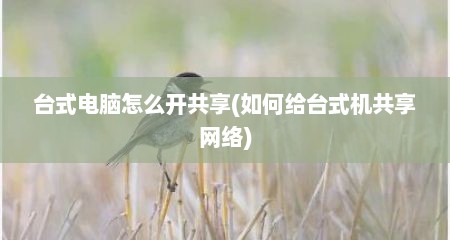 台式电脑怎么开共享(如何给台式机共享网络)