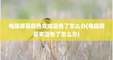 电脑屏幕颜色变成蓝色了怎么办(电脑屏幕变蓝色了怎么办)
