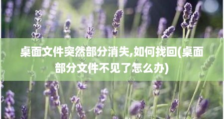 桌面文件突然部分消失,如何找回(桌面部分文件不见了怎么办)