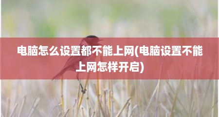 电脑怎么设置都不能上网(电脑设置不能上网怎样开启)