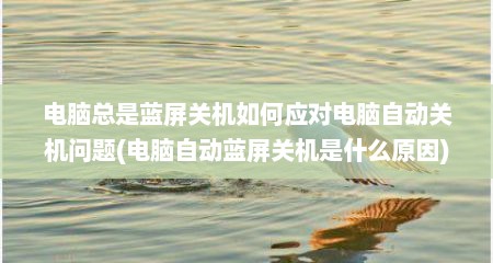电脑总是蓝屏关机如何应对电脑自动关机问题(电脑自动蓝屏关机是什么原因)