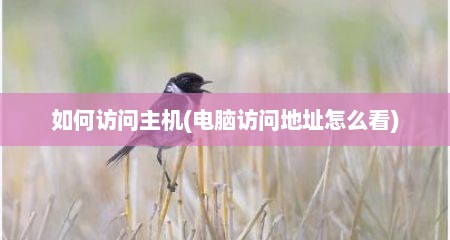 如何访问主机(电脑访问地址怎么看)