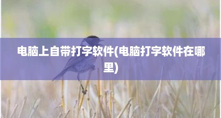 电脑上自带打字软件(电脑打字软件在哪里)
