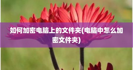 如何加密电脑上的文件夹(电脑中怎么加密文件夹)