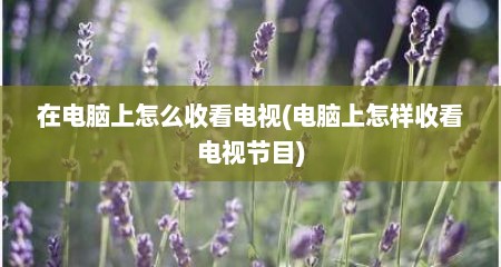 在电脑上怎么收看电视(电脑上怎样收看电视节目)