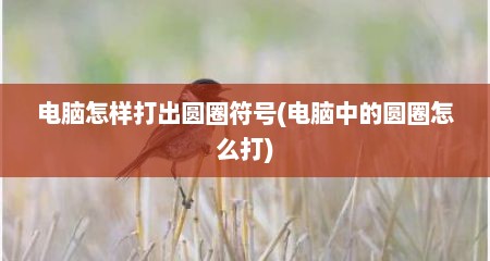 电脑怎样打出圆圈符号(电脑中的圆圈怎么打)