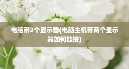 电脑带2个显示器(电脑主机带两个显示器如何链接)