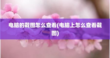 电脑的截图怎么查看(电脑上怎么查看截图)