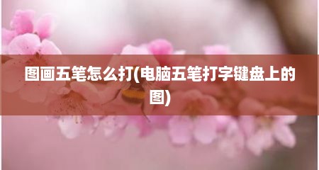 图画五笔怎么打(电脑五笔打字键盘上的图)