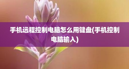 手机远程控制电脑怎么用键盘(手机控制电脑输入)