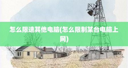 怎么限速其他电脑(怎么限制某台电脑上网)