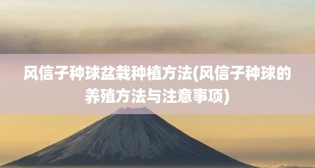 风信子种球盆栽种植方法(风信子种球的养殖方法与注意事项)
