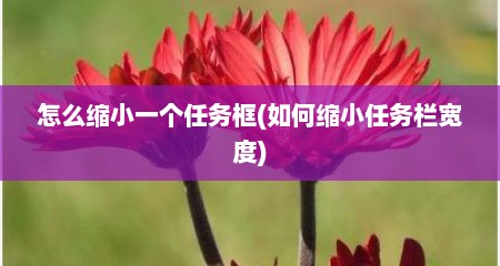 怎么缩小一个任务框(如何缩小任务栏宽度)
