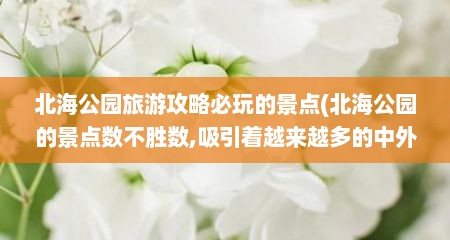 北海公园旅游攻略必玩的景点(北海公园的景点数不胜数,吸引着越来越多的中外游客)