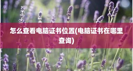 怎么查看电脑证书位置(电脑证书在哪里查询)