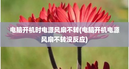 电脑开机时电源风扇不转(电脑开机电源风扇不转没反应)