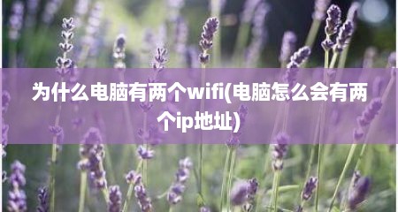 为什么电脑有两个wifi(电脑怎么会有两个ip地址)