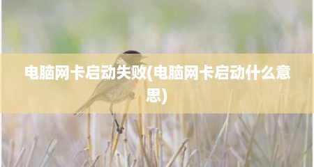 电脑网卡启动失败(电脑网卡启动什么意思)