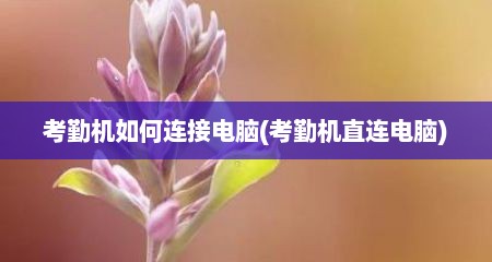 考勤机如何连接电脑(考勤机直连电脑)