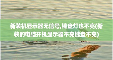 新装机显示器无信号,键盘灯也不亮(新装的电脑开机显示器不亮键盘不亮)