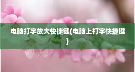 电脑打字放大快捷键(电脑上打字快捷键)