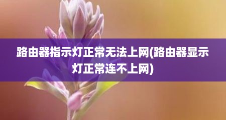 路由器指示灯正常无法上网(路由器显示灯正常连不上网)