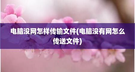 电脑没网怎样传输文件(电脑没有网怎么传送文件)