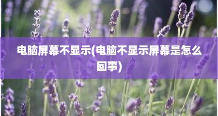 电脑屏幕不显示(电脑不显示屏幕是怎么回事)
